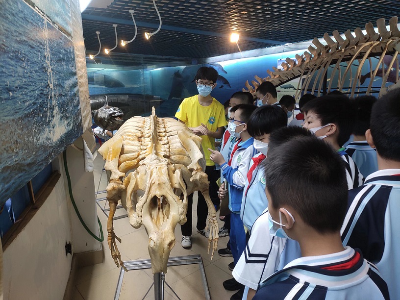 我校组织学生参观海南生物多样性博物馆