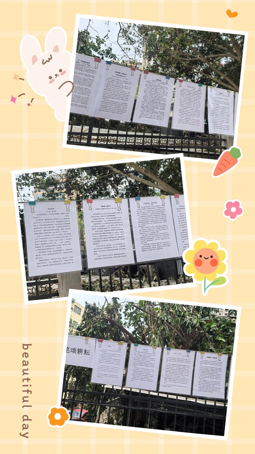 不负“师光”，向阳而生――  ﻿海南师范大学附属小学教师节主题活动